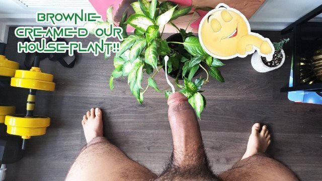 HUNG caught creaming neighbor's house plant