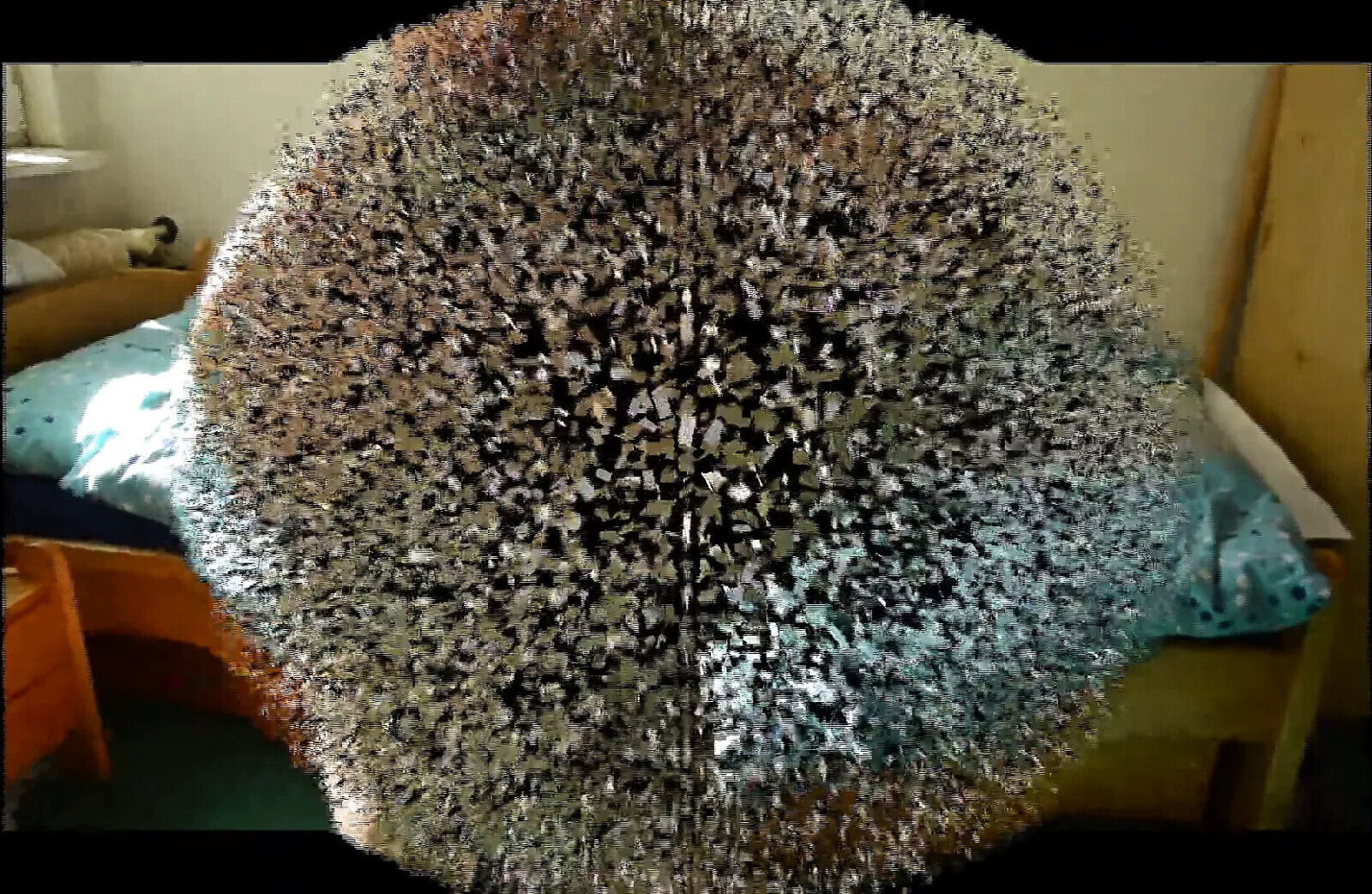 Cuckold Teen’s Next Round! FULL MOVIE! Yes, honey fucking