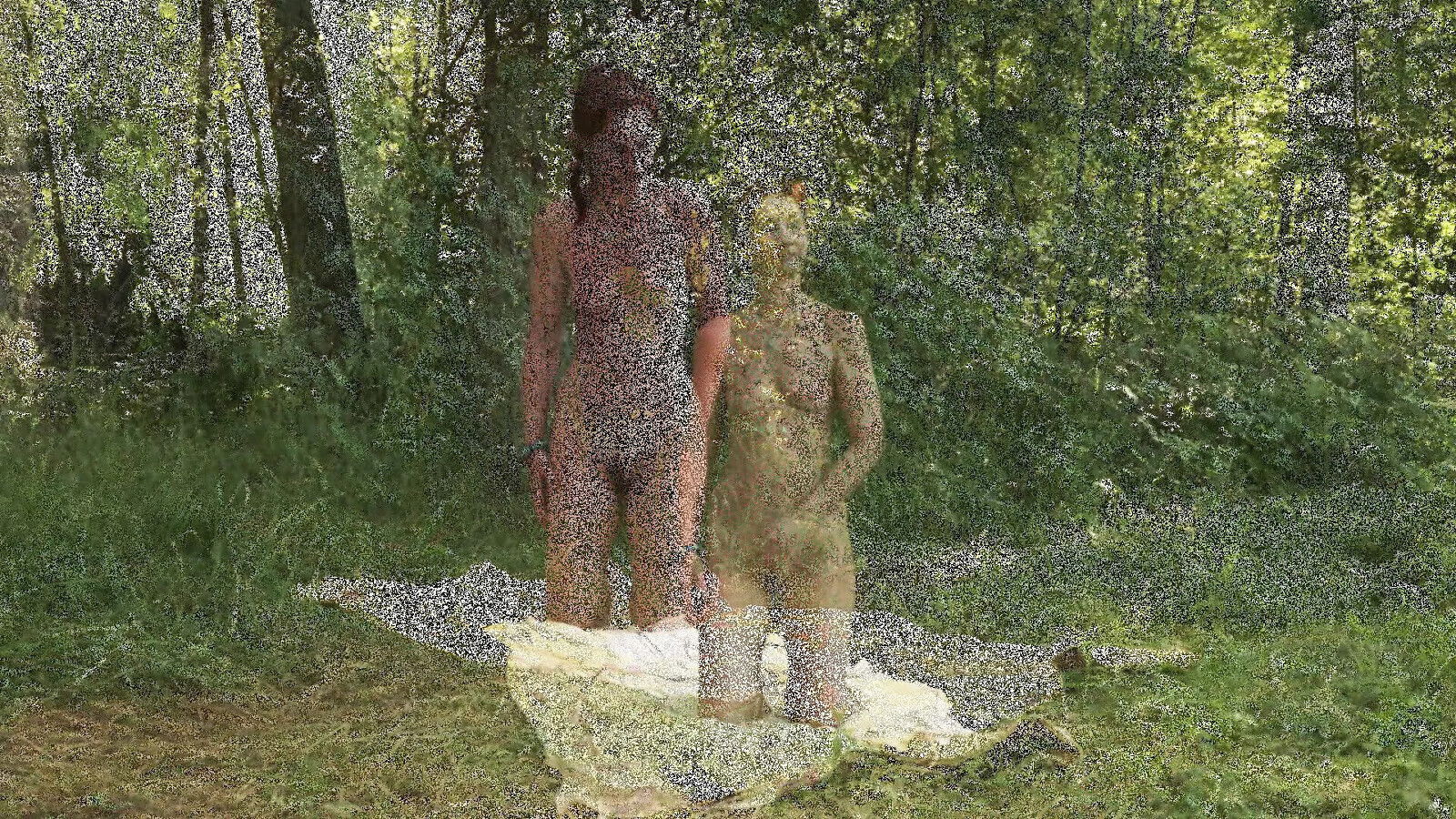 Various Forest Glade nature)