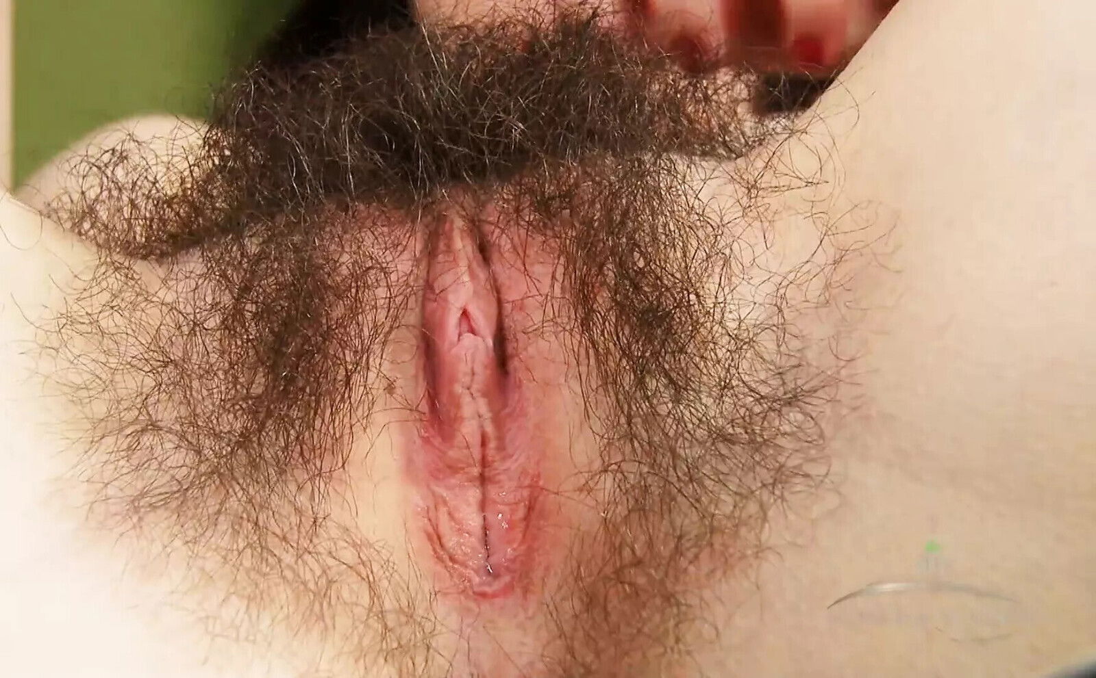 Hairy Pussy Annabelle rubs pussy make herself orgasm over bed, then spreads pussy open