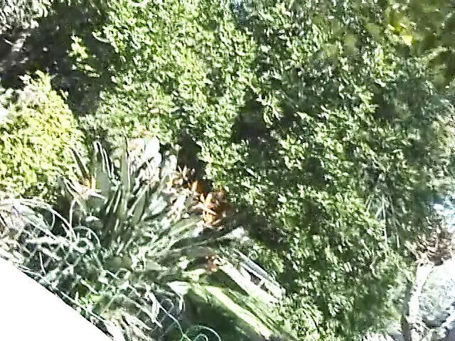 scenes beautiful women satisfying themselves