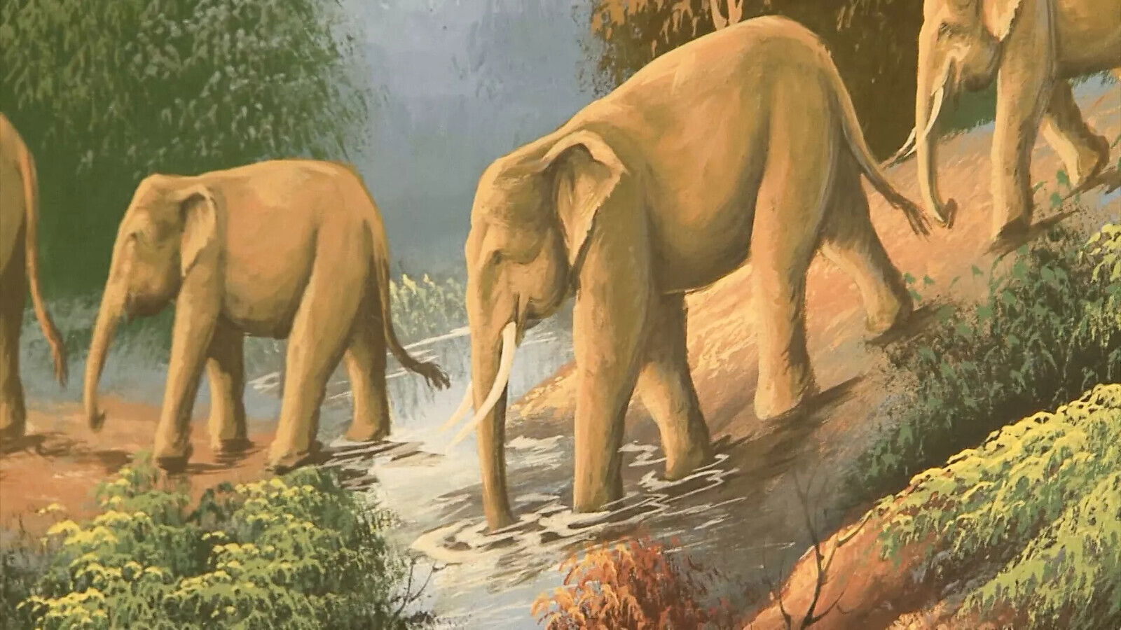 Schwarzer fickt Cheerleaderin