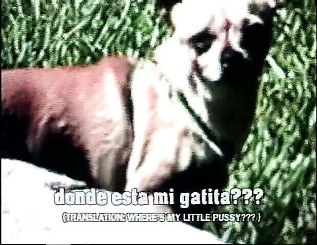 From KENYA with Passion!!!- vol.