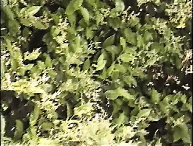 AFRICAN Sinners vol.