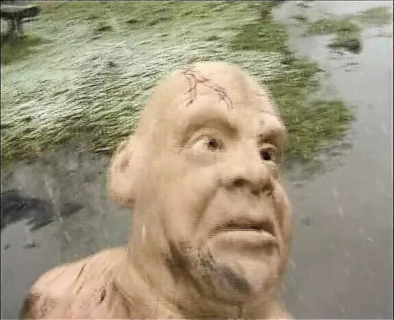 woman fucked outdoors