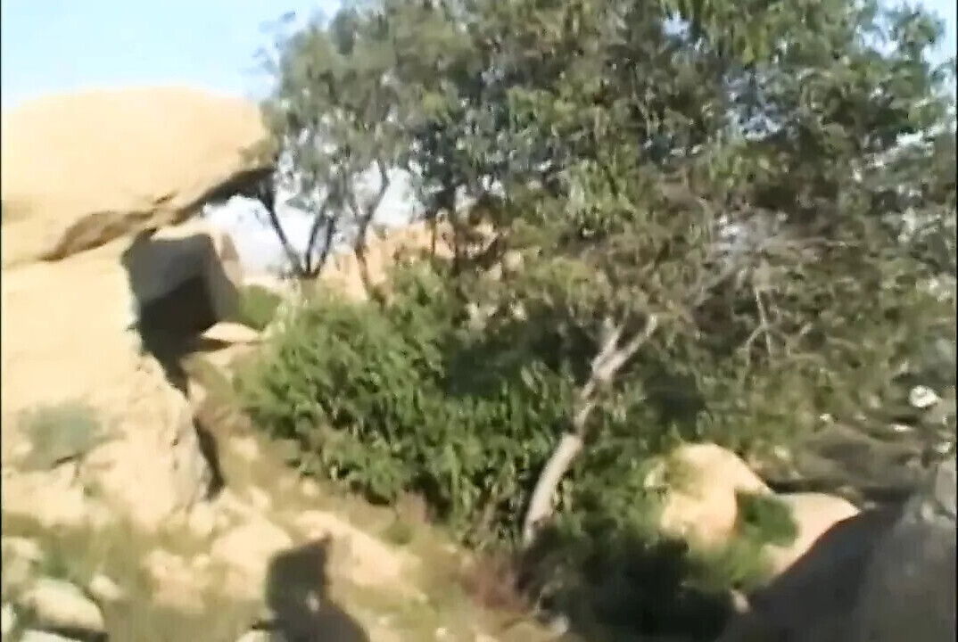 Pure Hardcore from USA!!! Vol.