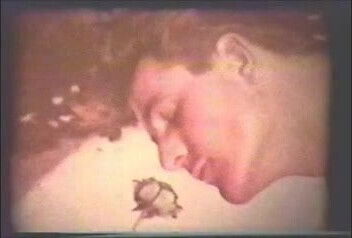 Gay Vintage 50's - The Blue Rose