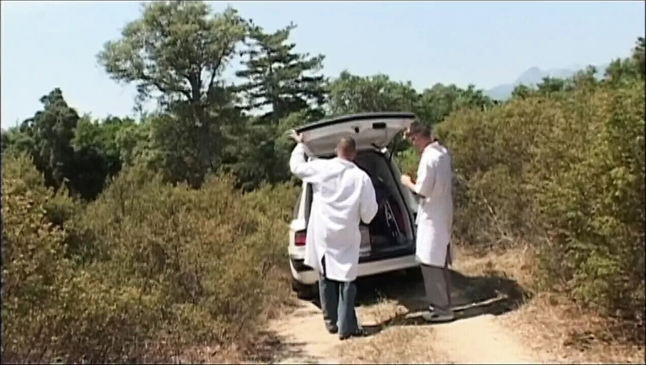 CORSICA Love Stories!!! Chapter