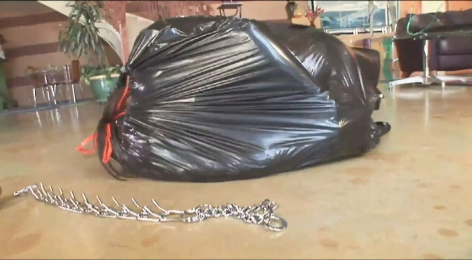 loves Black Cock!!! Vol.