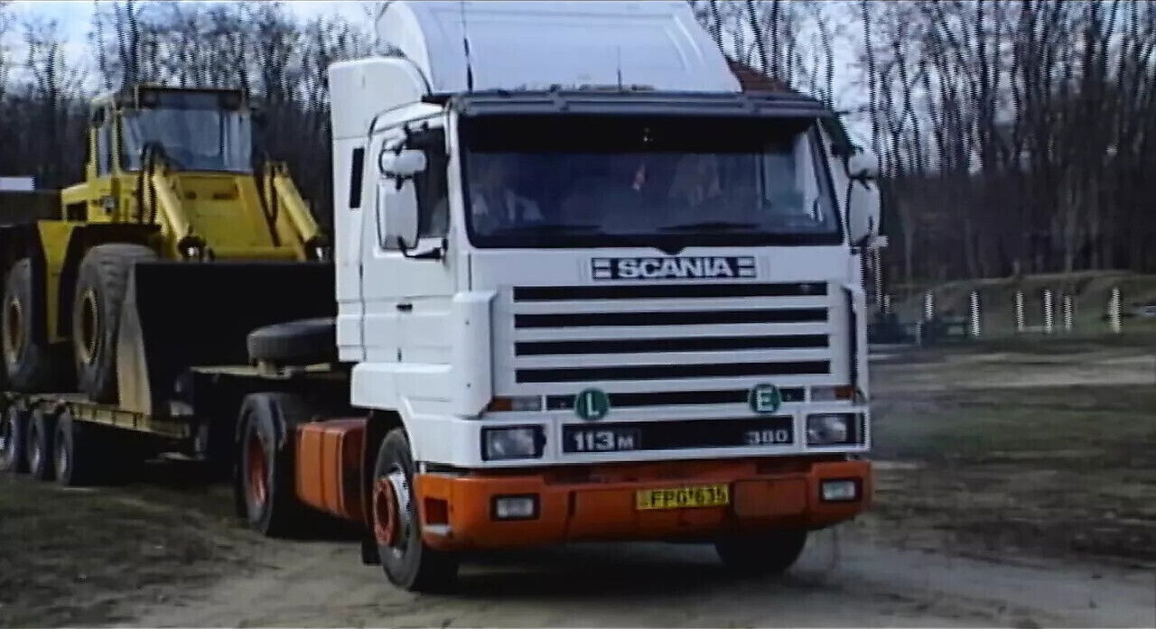 Wildkatzen Scene (The Original)