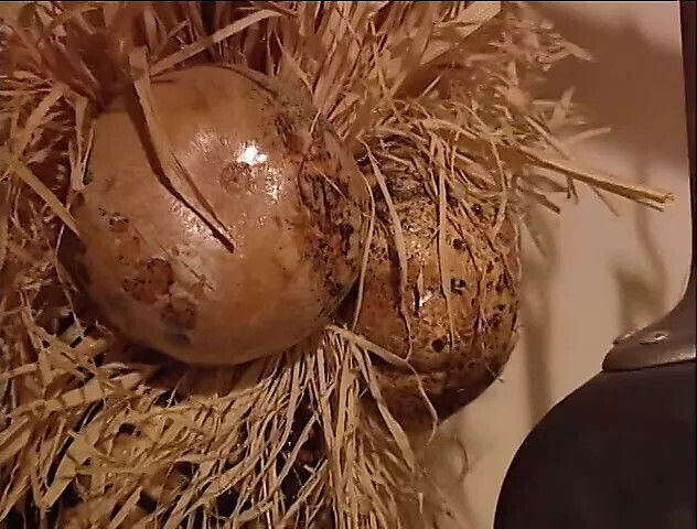 Teen banged kitchen counter