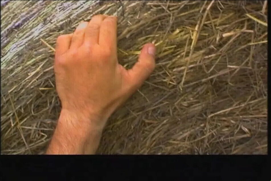 EROTISCHE MARCHEN Chapter