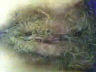 ex cell phone camera