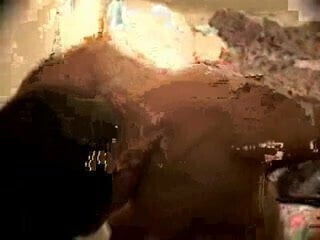 interracial tag team compilation vol 29