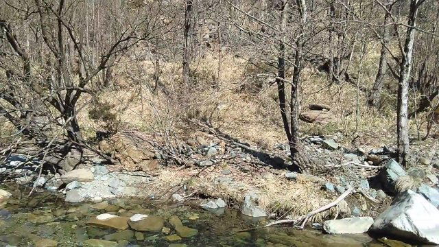 (POV) Inside the natural park !!!!