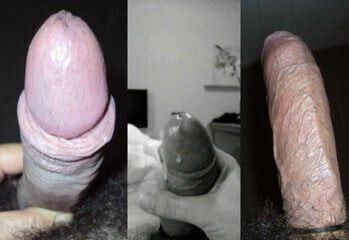 langonha tuga portugal