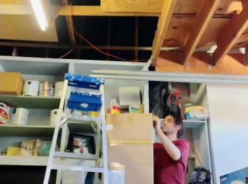 Company sends Pesky Marco reviews something different perfect