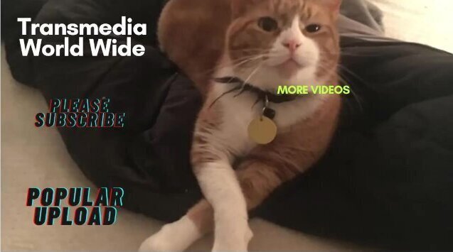 MILF Influencer and Adult Content Creator Elaina St. James Releases Self-Help Book for Young Men