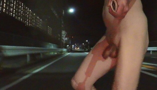 Pedestrian Bridge Crossing Challenge Walking naked playing with erect midnight 220411