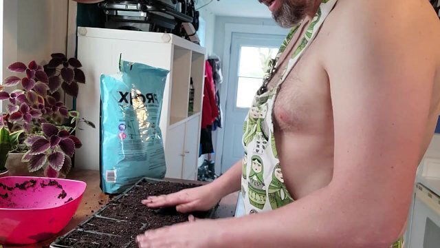 Plant Grows lettuce tomatoes