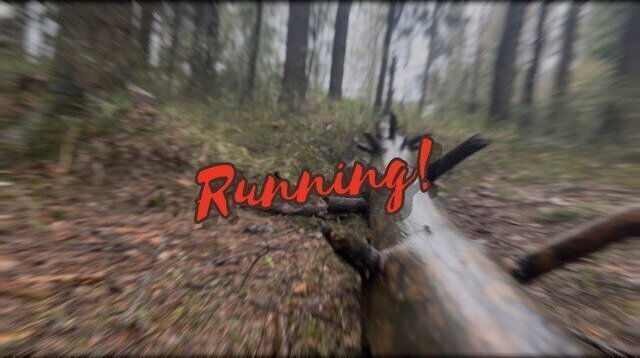 Forest running orgasm🤙🏻💧💦