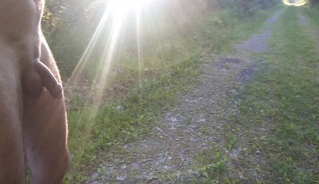 Village exhibitionist walks around village naked