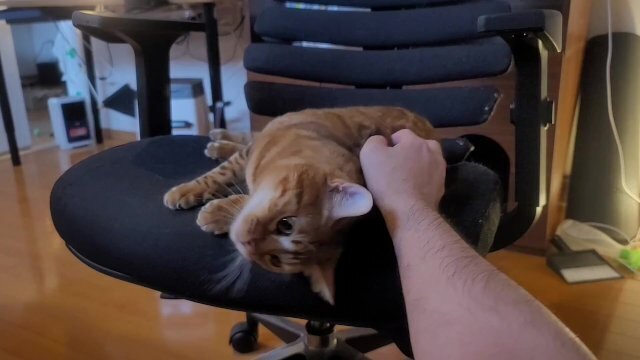 Playing Romantically with Beloved Pussy Starting with careful foreplay.