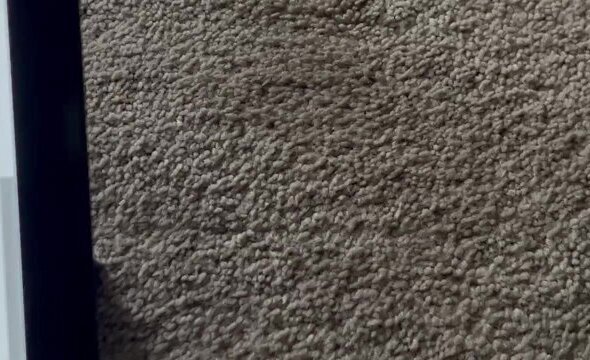 mail from most beautiful Irvine CALIFORNIA ladies testing naughty websites #reviews