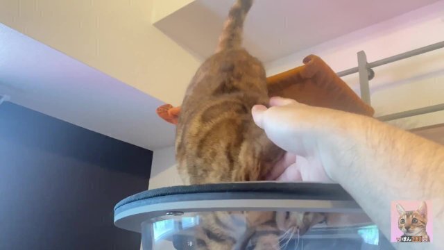 best place play with Pussy It's always exciting play unusual places!