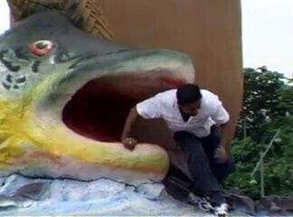 when the boat cums in