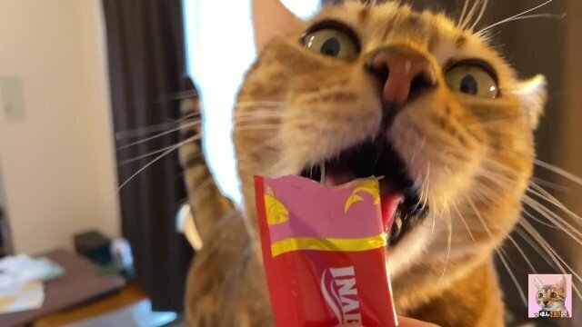 pussy comes while exercising aerobike licks Pussy licking everything