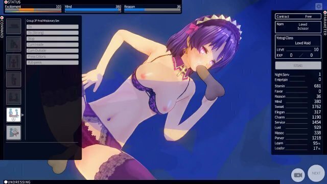 Custom Maid introduce maid