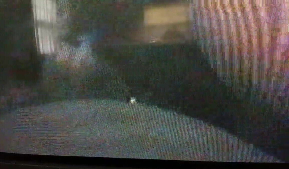 Making it squirt ( old video)