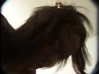 Ebony Brazilian Maid Lucky White Boss