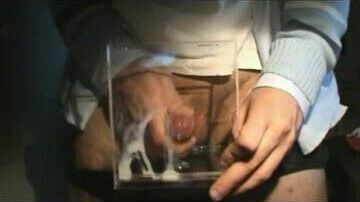 langonha 2 tuga portugal