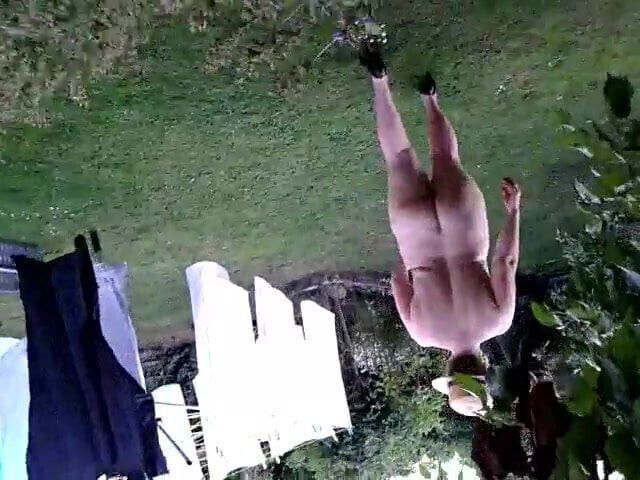 Summer evening garden