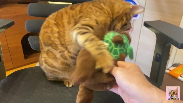 Pussy sucks deliciously your stuff likes bitten hard