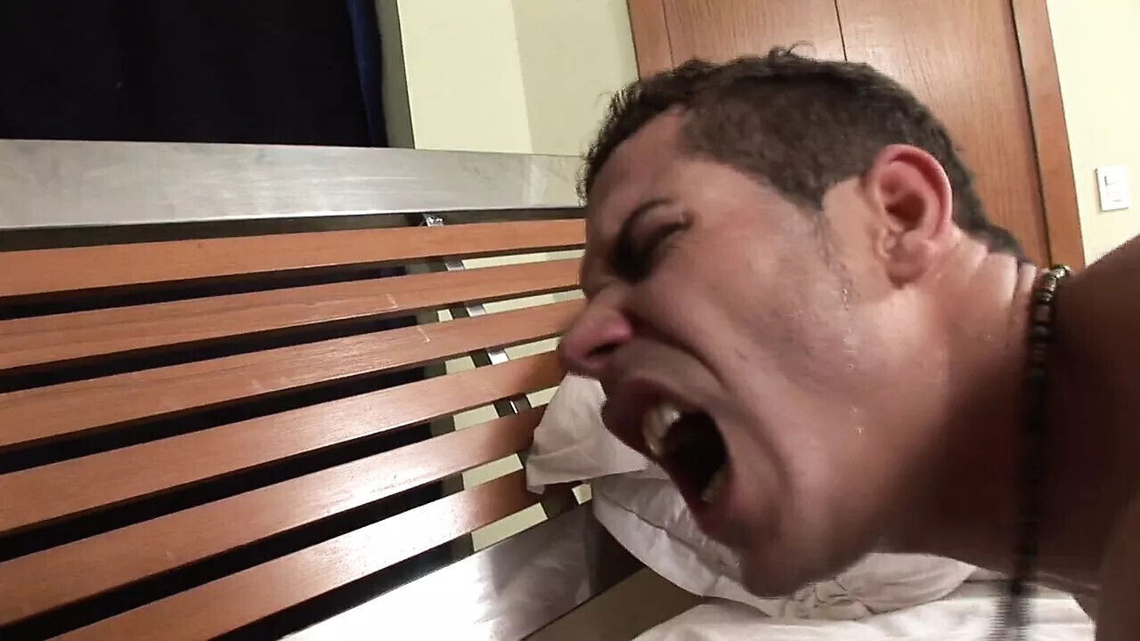 nylon shemale fucks freaky