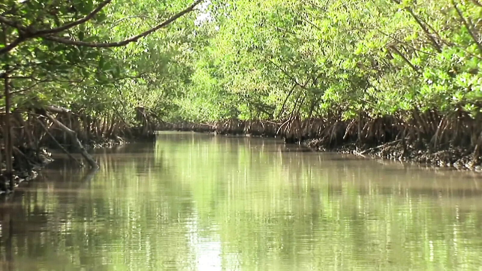 Ausflugsfuehrerin geht Tourist Hotel fickt