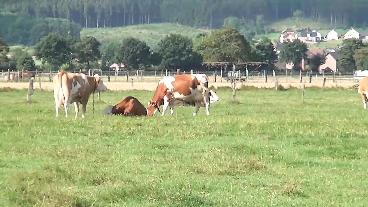 German countryside Episode