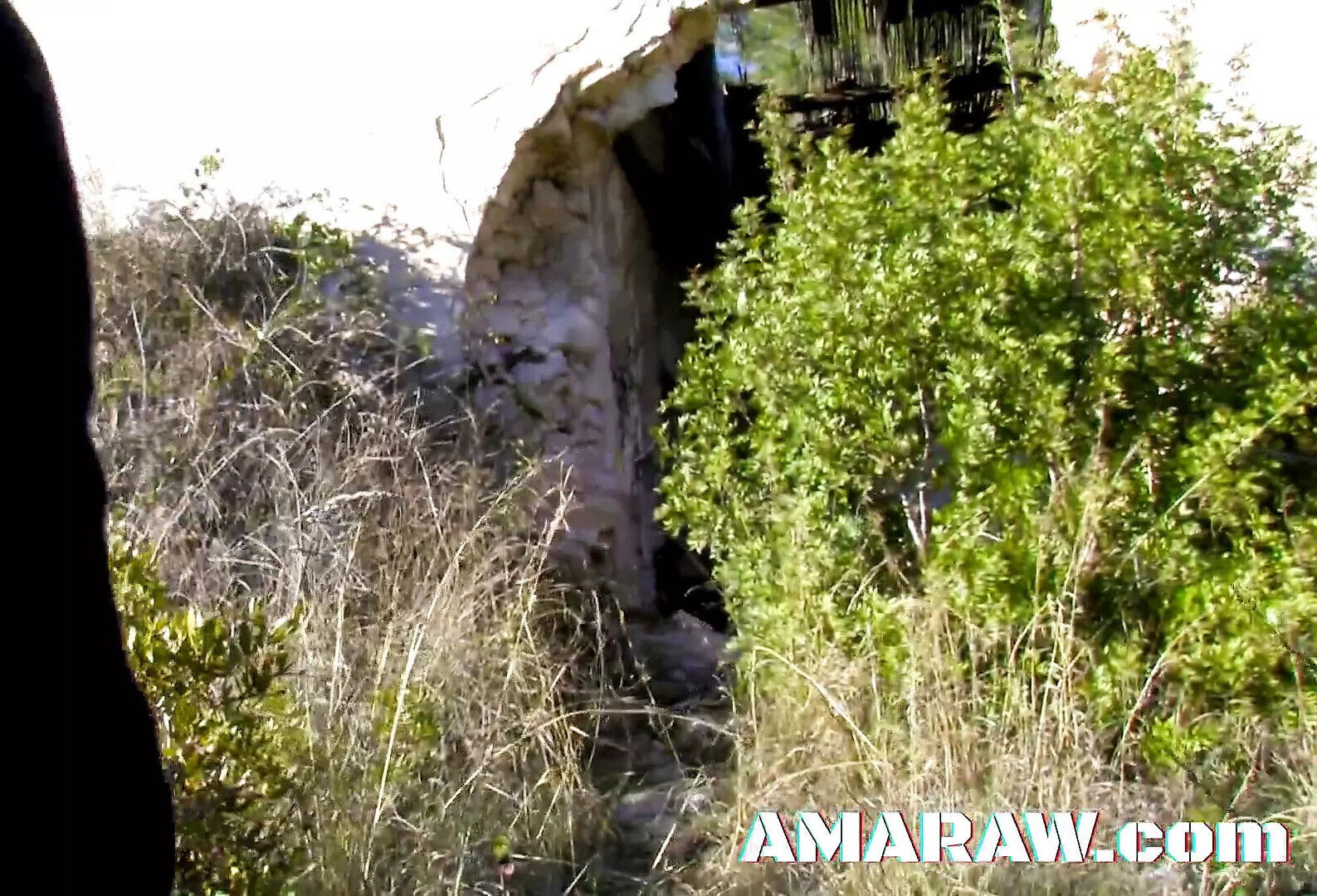 Blonde Alexa Diamond humps eager facial