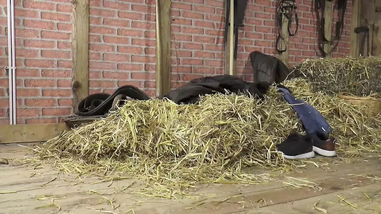 Escort with (Full Movie)