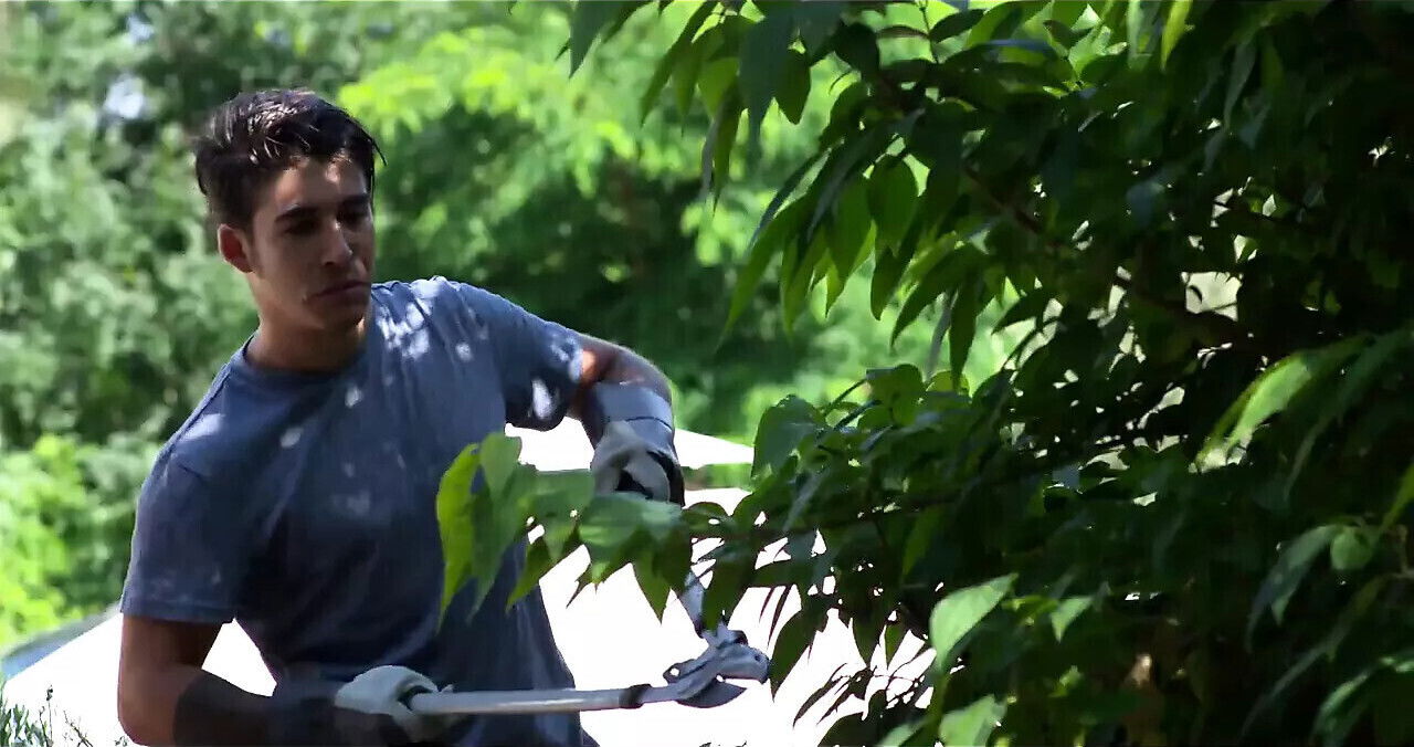 AMANDA l'amante cazzi Duri