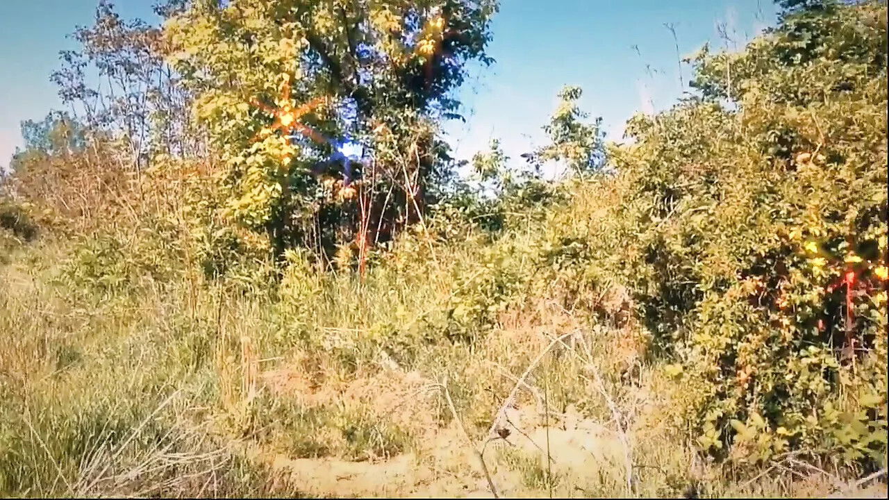 show boobs again nature