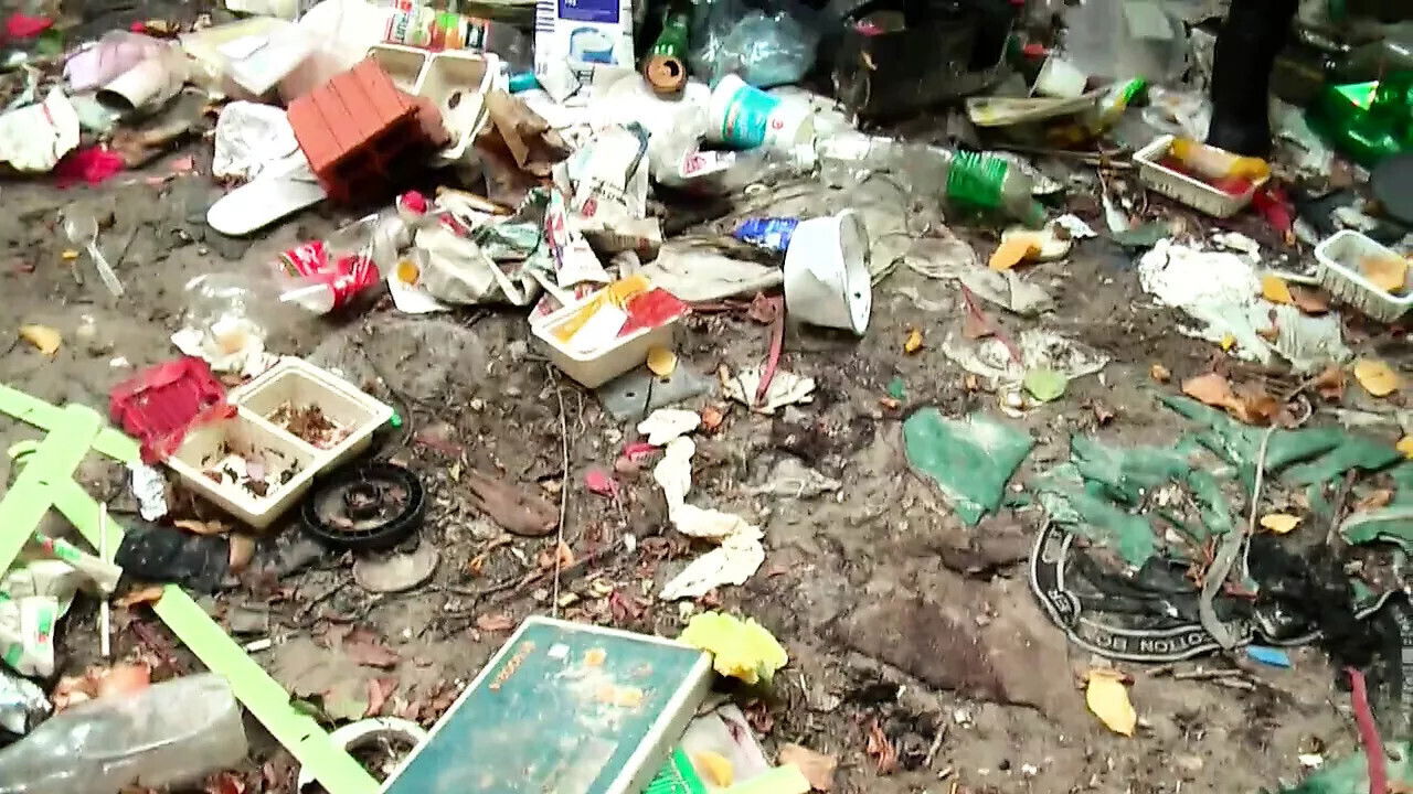 JASMINE ROUGE Perverse (Public Report)