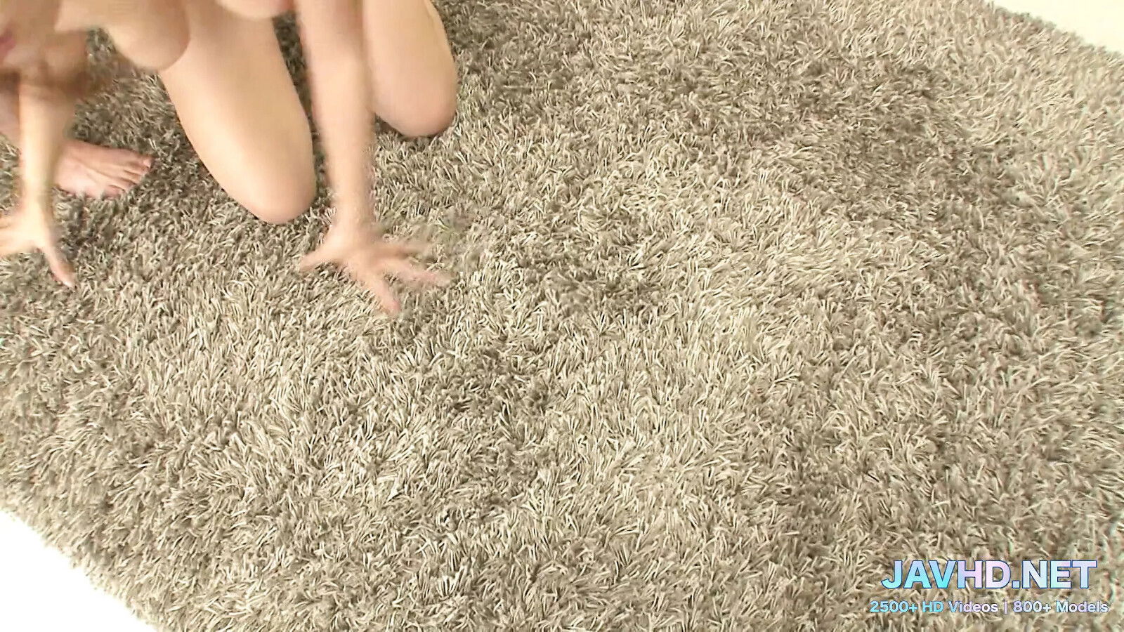 Skilled Japanese Milfs