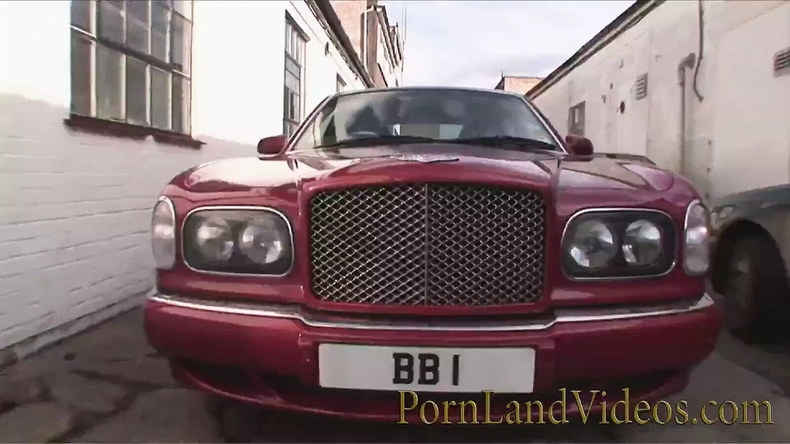 Brunette sucking balls, then cowgirl riding