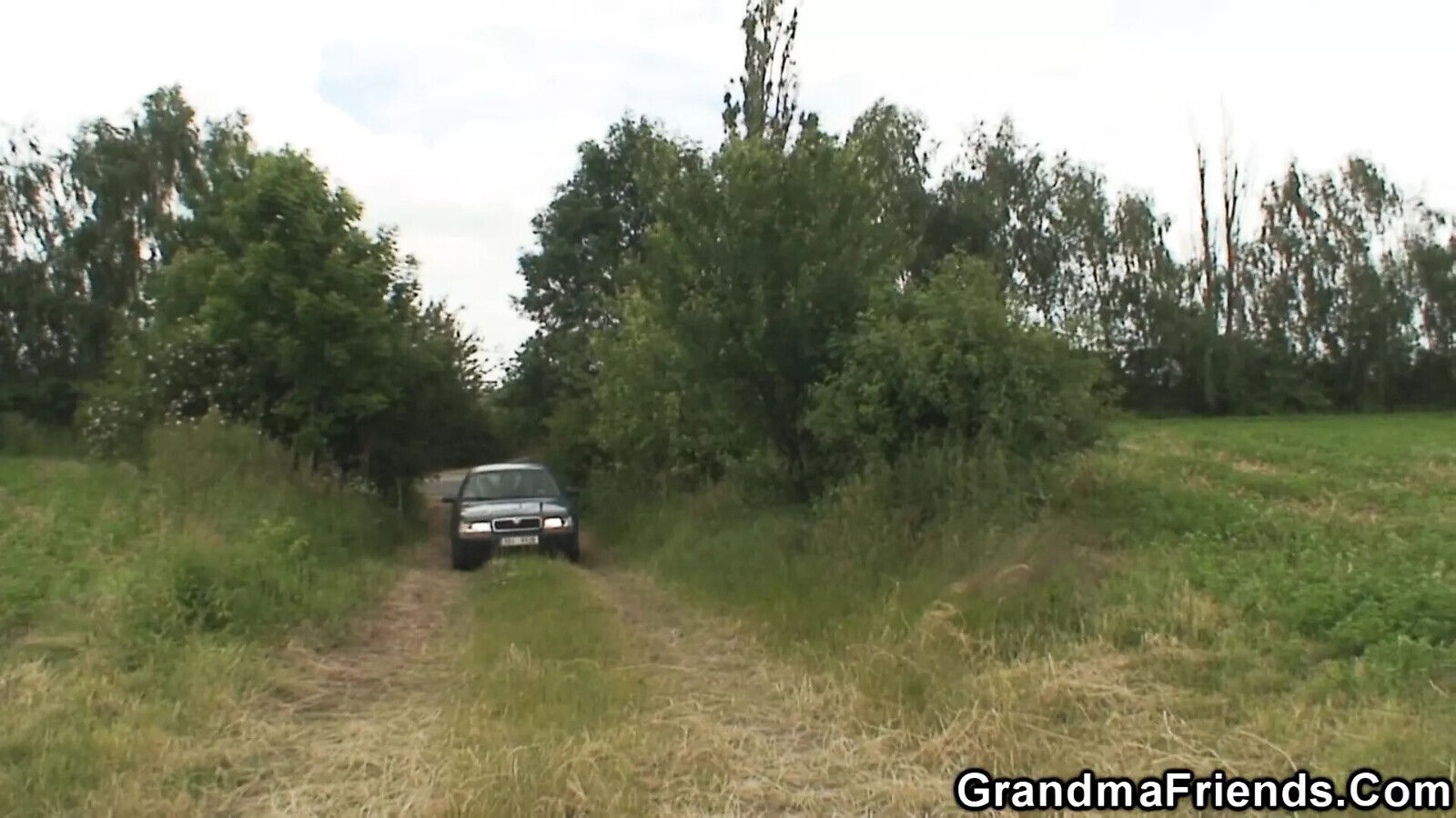 granny outdoor threesome fuck