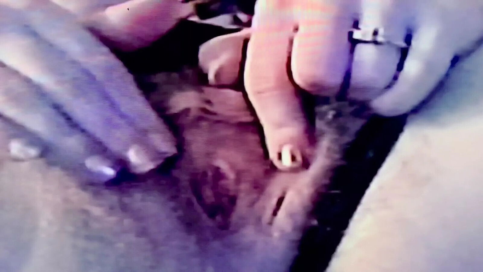 Hairy Pink Pussy Sexy Panty Tease American Milf Solo Porn