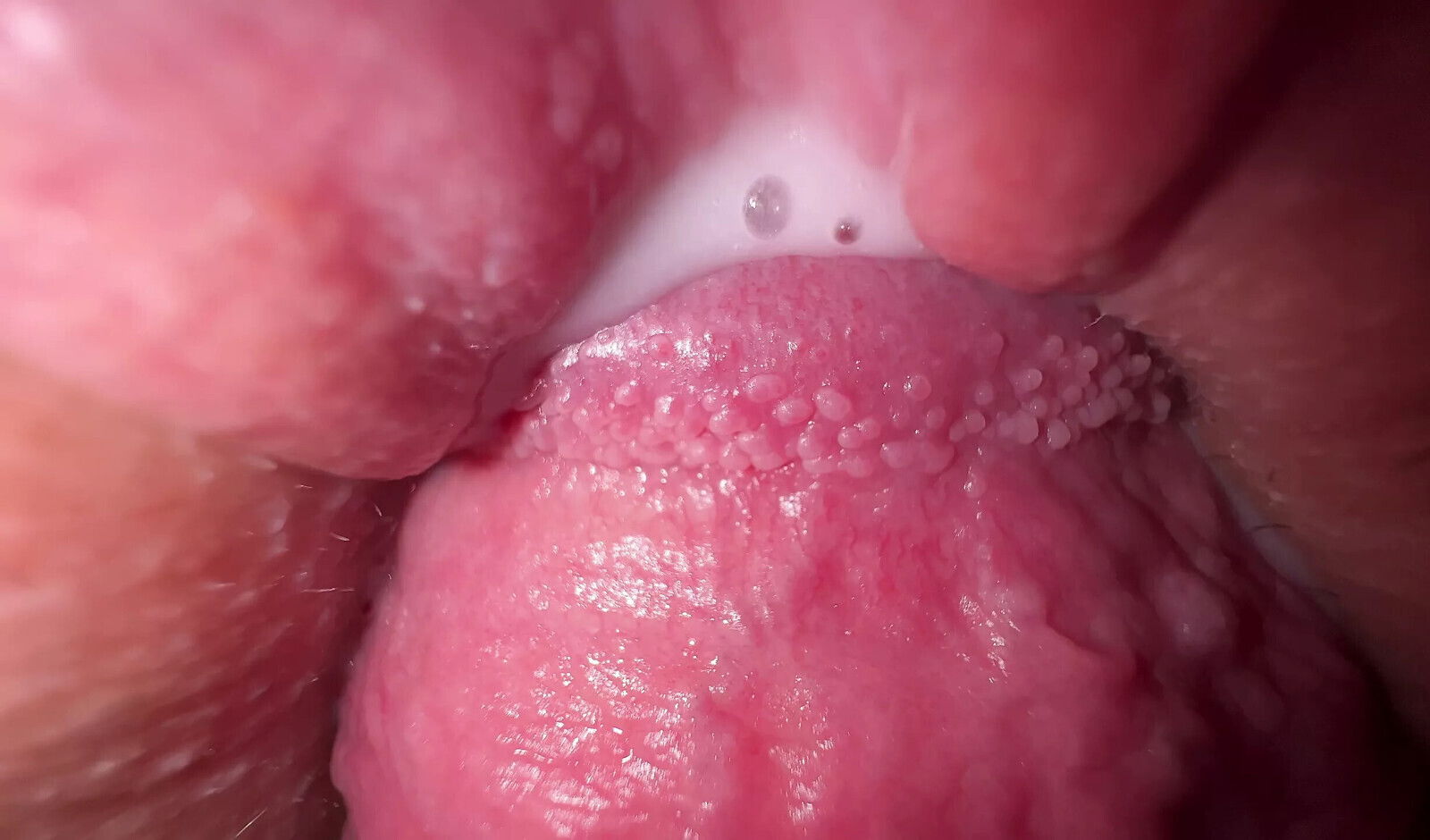 Close-up fuck with teen stepsister, amazing creamy pussy